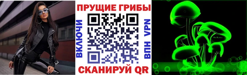 Псилоцибиновые грибы мицелий  Купить  Пугачёв 